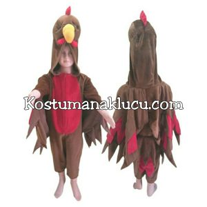 Jual Kostum Anak Lucu Binatang Ayam Jago