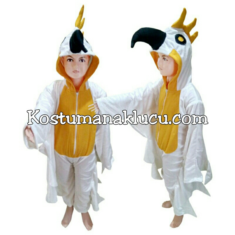 Jual Kostum Anak Lucu Ayam